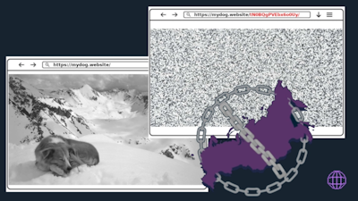 L'immagine mostra due finestre del browser che puntano allo stesso dominio, https://mydog.website/. Una finestra mostra un'immagine di un cane sulla neve, mentre l'altra mostra un'immagine distorta con una catena e una mappa della Russia sovrapposte. 
Entrambe le finestre si caricano dallo stesso dominio.
L'URL nella finestra di destra include un percorso aggiuntivo (tN0BQgPVEbx600Uy/).
Il contenuto visivo cambia drasticamente tra le due finestre, suggerendo un reindirizzamento o un contenuto dinamico.
L'immagine potrebbe essere un'illustrazione che commenta la censura o le restrizioni di accesso a Internet in alcune aree geografiche.